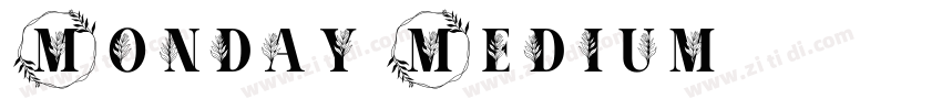 Monday Medium字体转换